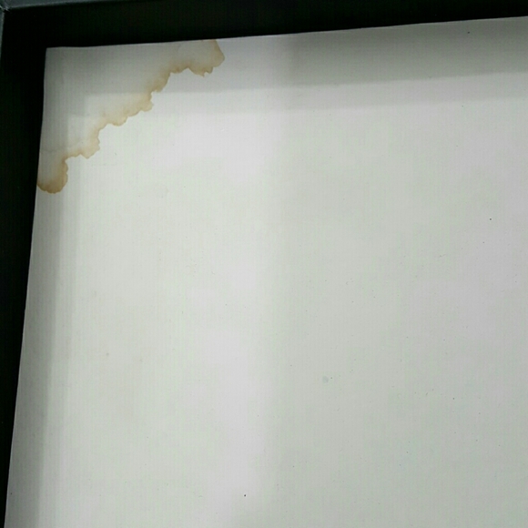 Necklace Bracelet Pendant Professional Display - Picture 4 of 4